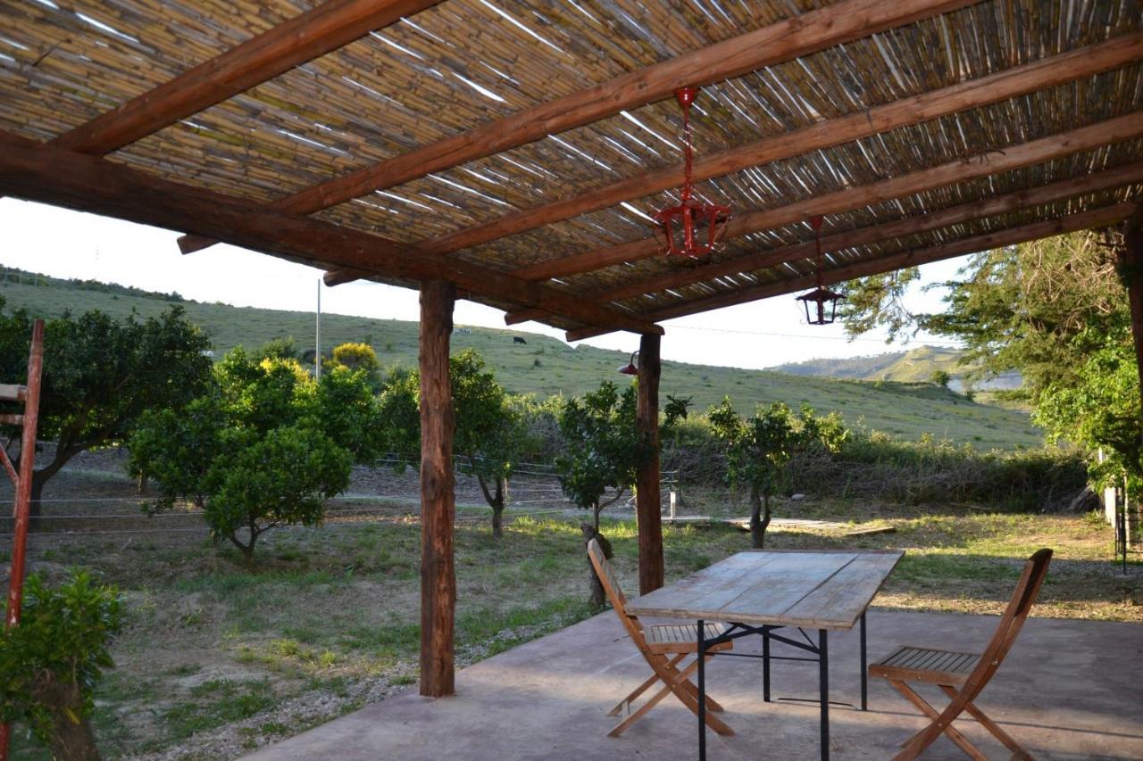 Villa La Cucullera กาตันซาโร ภายนอก รูปภาพ